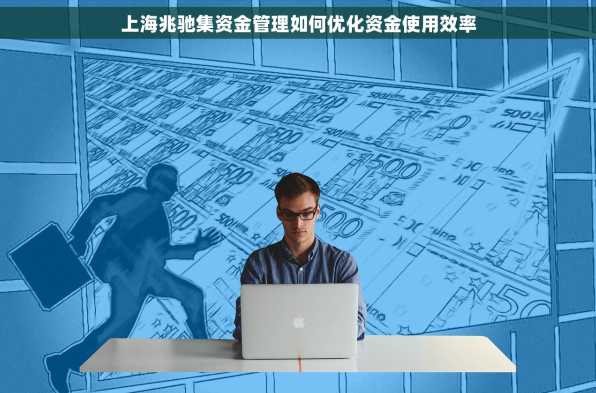 上海兆驰集资金管理如何优化资金使用效率