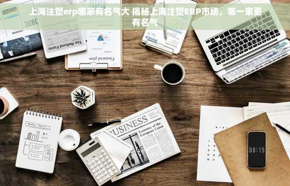 上海注塑erp哪家有名气大 揭秘上海注塑ERP市场，哪一家更有名气