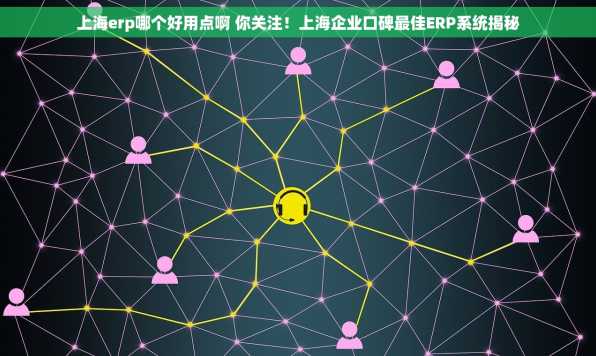 上海erp哪个好用点啊 你关注！上海企业口碑最佳ERP系统揭秘