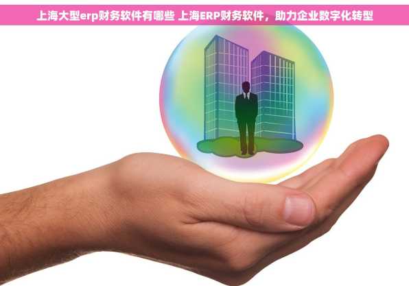 上海大型erp财务软件有哪些 上海ERP财务软件，助力企业数字化转型