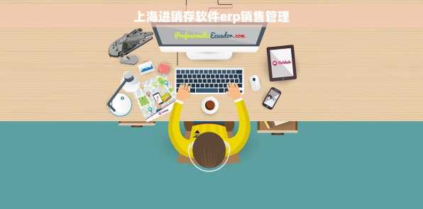 上海进销存软件erp销售管理