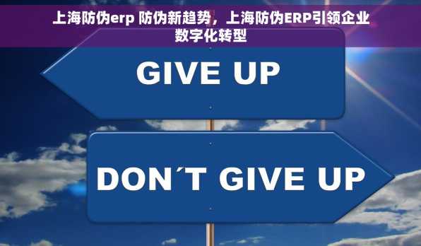 上海防伪erp 防伪新趋势，上海防伪ERP引领企业数字化转型