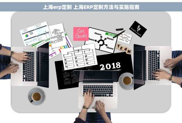 上海erp定制 上海ERP定制方法与实施指南