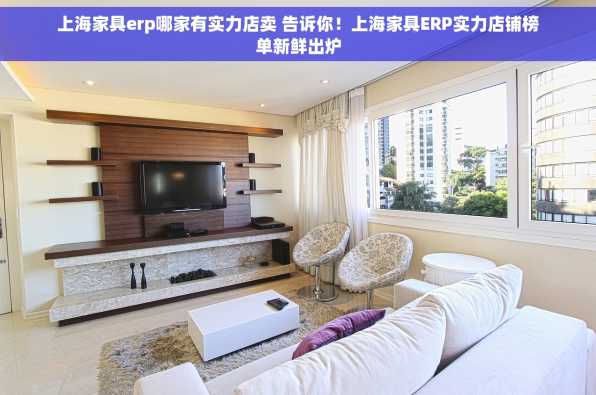 上海家具erp哪家有实力店卖 告诉你！上海家具ERP实力店铺榜单新鲜出炉