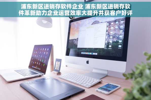 浦东新区进销存软件企业 浦东新区进销存软件革新助力企业运营效率大提升并获客户好评