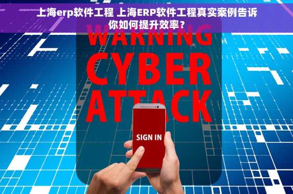 上海erp软件工程 上海ERP软件工程真实案例告诉你如何提升效率？