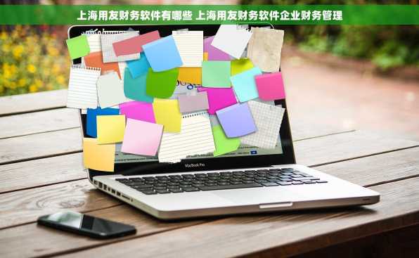 上海用友财务软件有哪些 上海用友财务软件企业财务管理