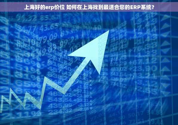 上海好的erp价位 如何在上海找到最适合您的ERP系统？