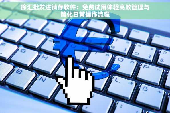 徐汇批发进销存软件：免费试用体验高效管理与简化日常操作流程