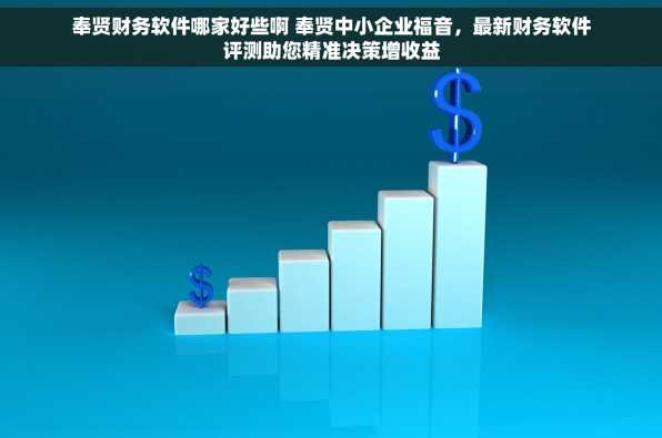 奉贤财务软件哪家好些啊 奉贤中小企业福音，最新财务软件评测助您精准决策增收益