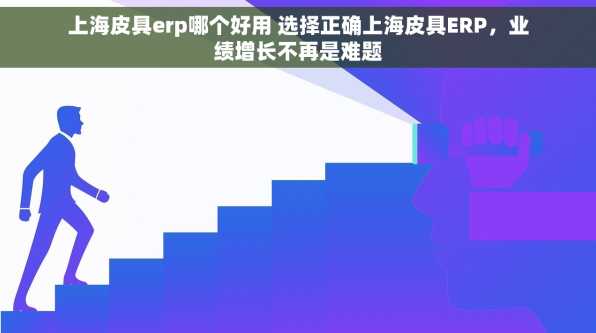 上海皮具erp哪个好用 选择正确上海皮具ERP，业绩增长不再是难题