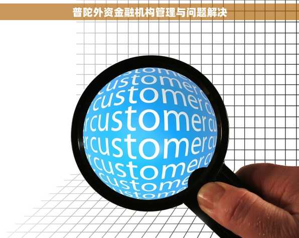 普陀外资金融机构管理与问题解决