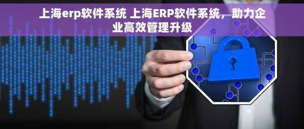 上海erp软件系统 上海ERP软件系统，助力企业高效管理升级
