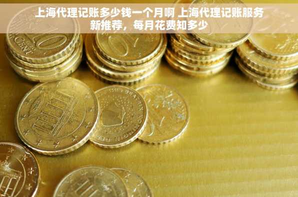 上海代理记账多少钱一个月啊 上海代理记账服务新推荐，每月花费知多少