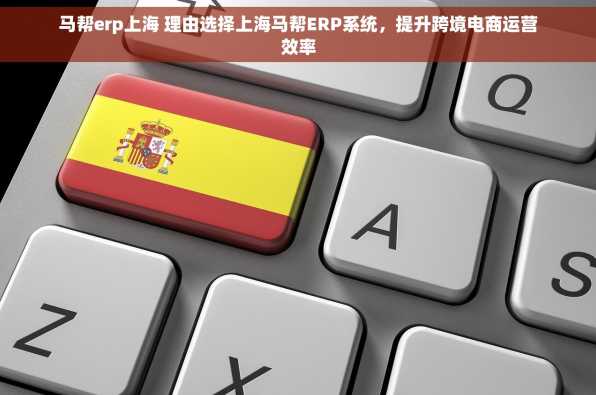 马帮erp上海 理由选择上海马帮ERP系统，提升跨境电商运营效率