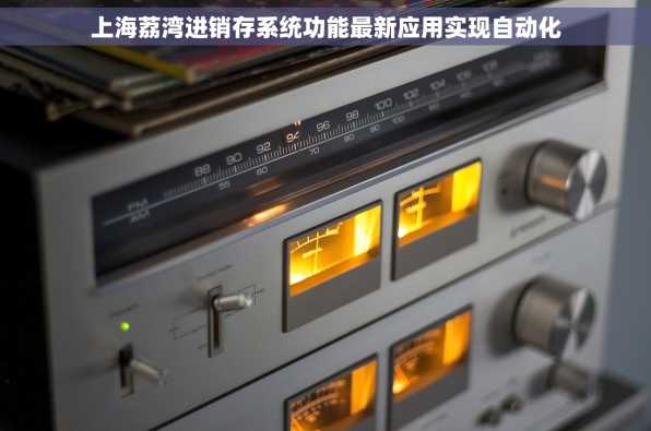 上海荔湾进销存系统功能最新应用实现自动化