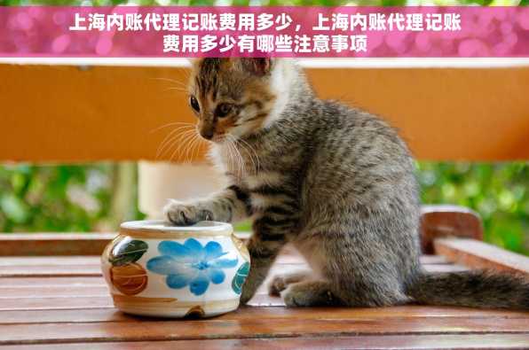 上海内账代理记账费用多少，上海内账代理记账费用多少有哪些注意事项
