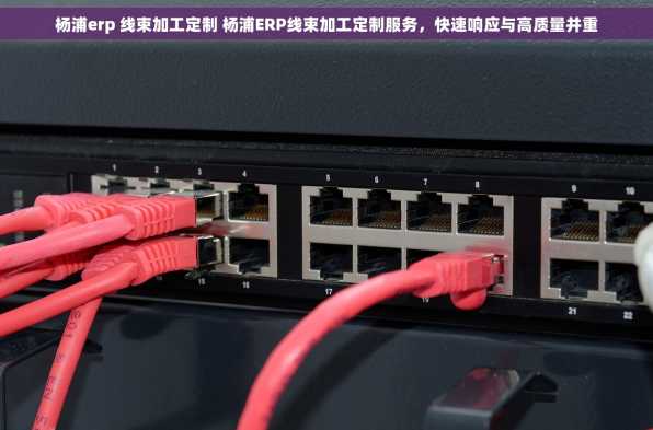 杨浦erp 线束加工定制 杨浦ERP线束加工定制服务，快速响应与高质量并重