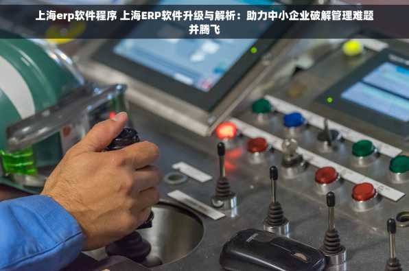 上海erp软件程序 上海ERP软件升级与解析：助力中小企业破解管理难题并腾飞