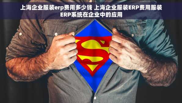 上海企业服装erp费用多少钱 上海企业服装ERP费用服装ERP系统在企业中的应用