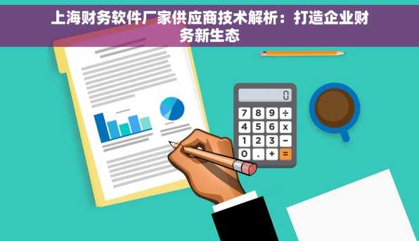 上海财务软件厂家供应商技术解析：打造企业财务新生态