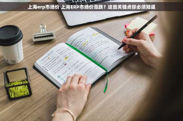 上海erp市场价 上海ERP市场价涨跌？这些关键点你必须知道