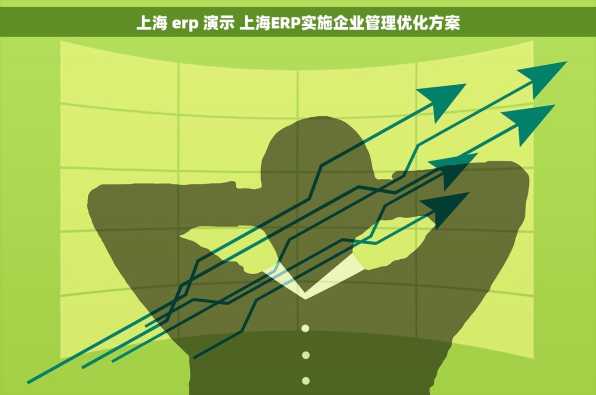 上海 erp 演示 上海ERP实施企业管理优化方案