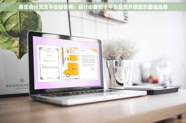 嘉定会计交流平台排名榜：会计必备前十平台及提升技能的最佳选择
