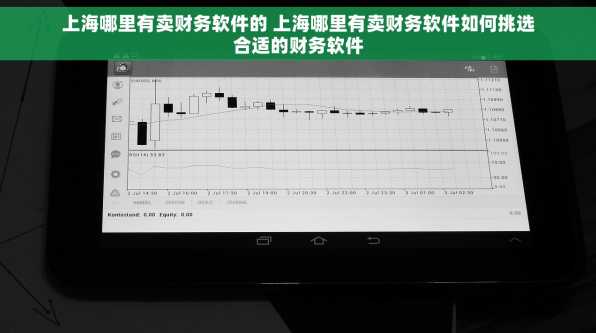 上海哪里有卖财务软件的 上海哪里有卖财务软件如何挑选合适的财务软件