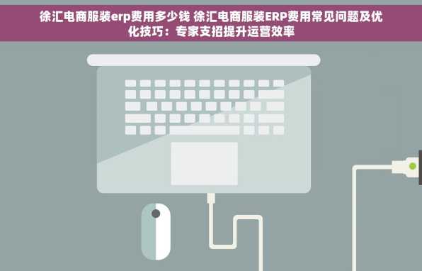 徐汇电商服装erp费用多少钱 徐汇电商服装ERP费用常见问题及优化技巧：专家支招提升运营效率