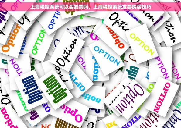 上海税控系统可以买发票吗，上海税控系统发票购买技巧