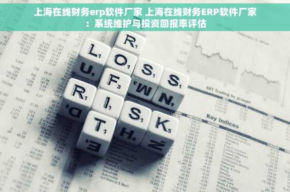 上海在线财务erp软件厂家 上海在线财务ERP软件厂家：系统维护与投资回报率评估