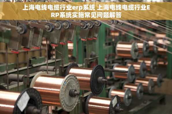 上海电线电缆行业erp系统 上海电线电缆行业ERP系统实施常见问题解答