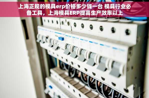 上海正规的模具erp价格多少钱一台 模具行业必备工具，上海模具ERP提高生产效率以上