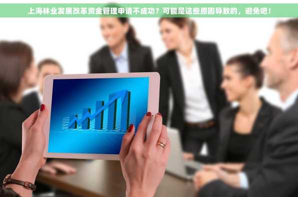 上海林业发展改革资金管理申请不成功？可能是这些原因导致的，避免吧！