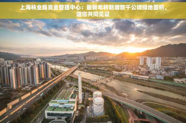 上海林业局资金管理中心：最新年将新增数千公顷绿地面积，邀您共同见证