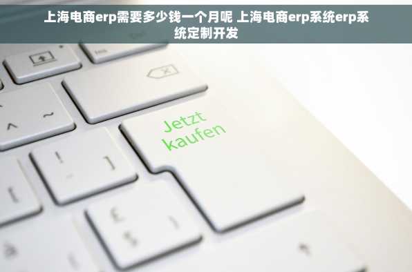上海电商erp需要多少钱一个月呢 上海电商erp系统erp系统定制开发