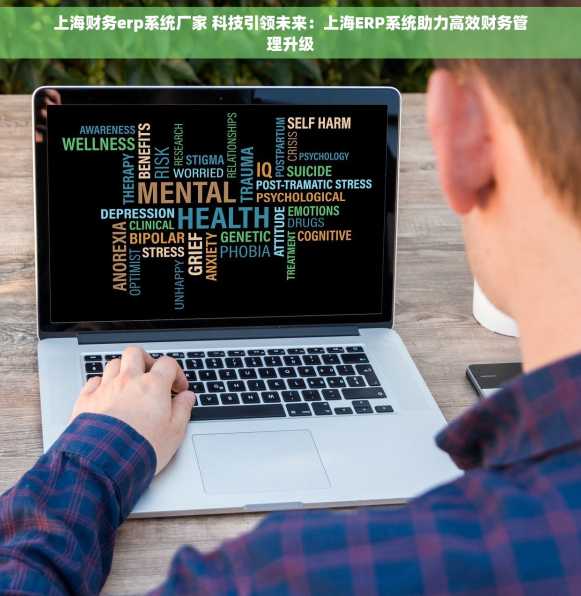 上海财务erp系统厂家 科技引领未来：上海ERP系统助力高效财务管理升级