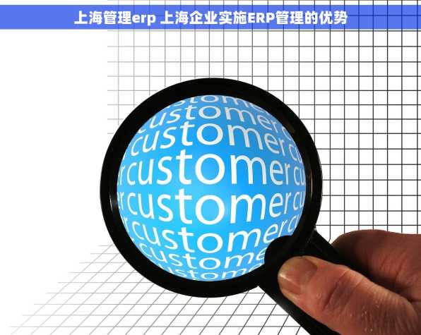 上海管理erp 上海企业实施ERP管理的优势