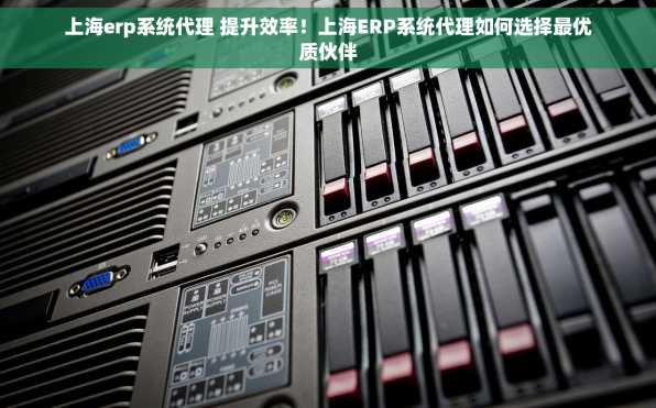 上海erp系统代理 提升效率！上海ERP系统代理如何选择最优质伙伴