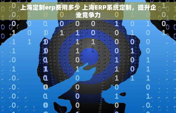 上海定制erp费用多少 上海ERP系统定制，提升企业竞争力