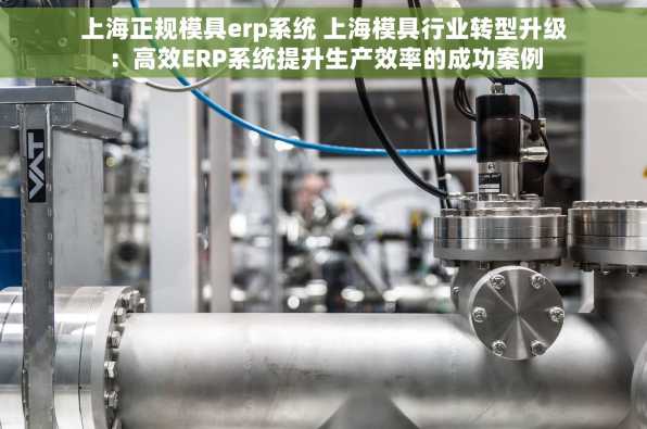 上海正规模具erp系统 上海模具行业转型升级：高效ERP系统提升生产效率的成功案例
