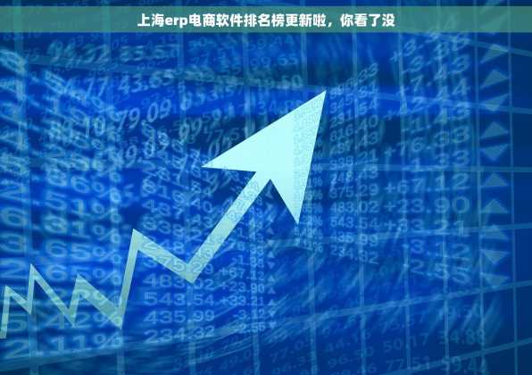 上海erp电商软件排名榜更新啦，你看了没