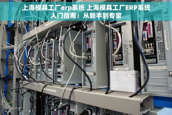 上海模具工厂erp系统 上海模具工厂ERP系统入门指南：从新手到专家