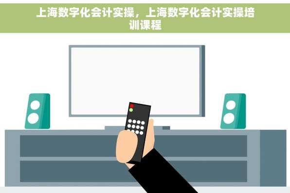 上海数字化会计实操，上海数字化会计实操培训课程