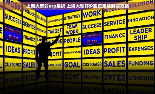 上海大型的erp系统 上海大型ERP系统集成解决方案
