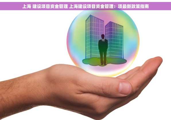 上海 建设项目资金管理 上海建设项目资金管理：项最新政策指南