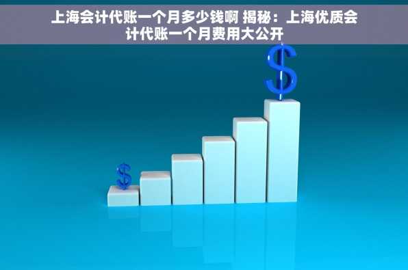 上海会计代账一个月多少钱啊 揭秘：上海优质会计代账一个月费用大公开