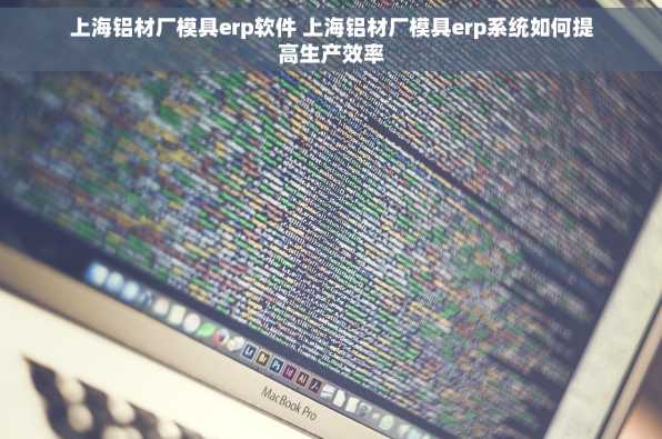 上海铝材厂模具erp软件 上海铝材厂模具erp系统如何提高生产效率