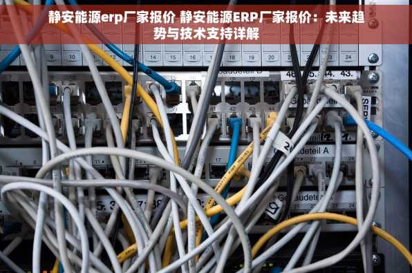 静安能源erp厂家报价 静安能源ERP厂家报价：未来趋势与技术支持详解